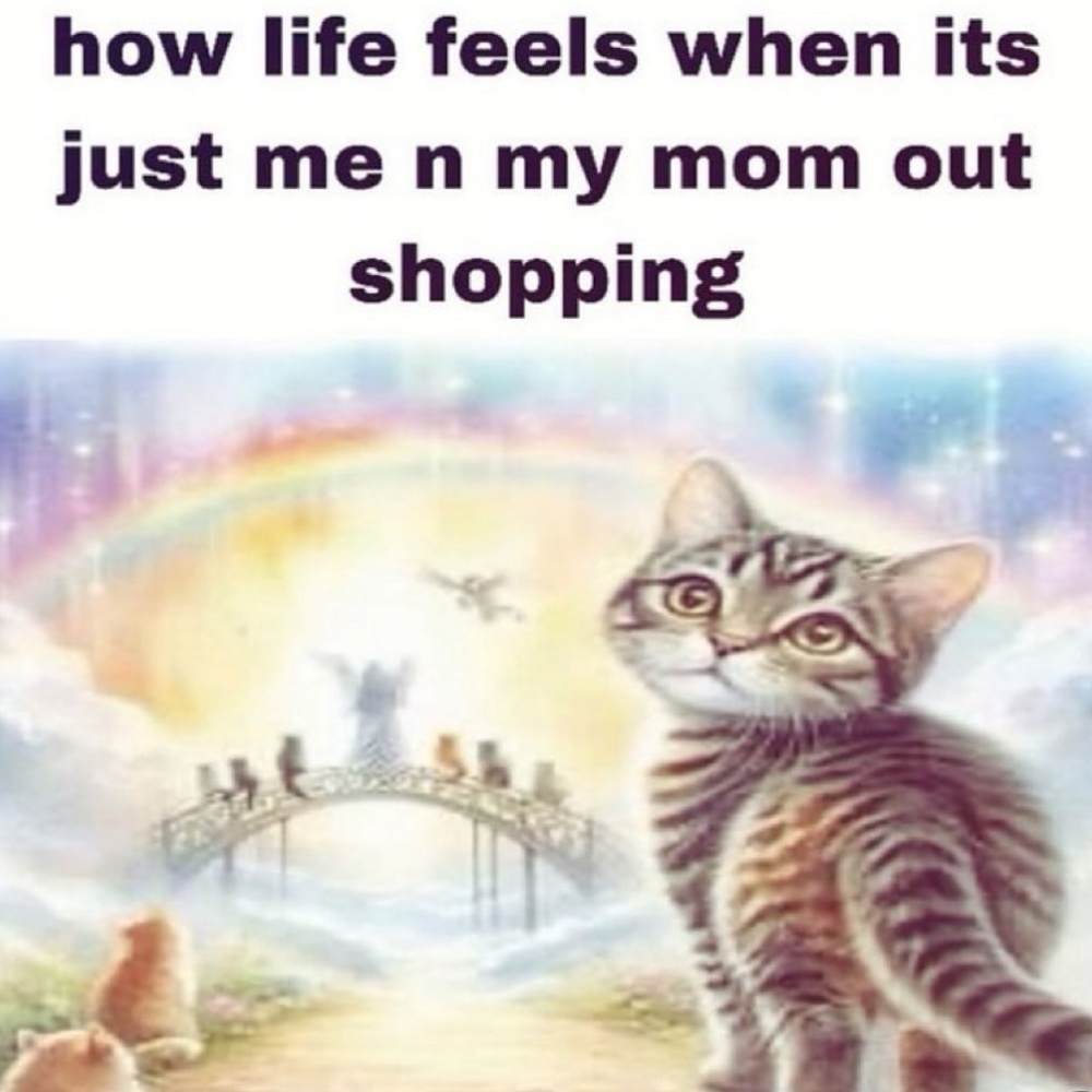 Meet your Posher, Diana